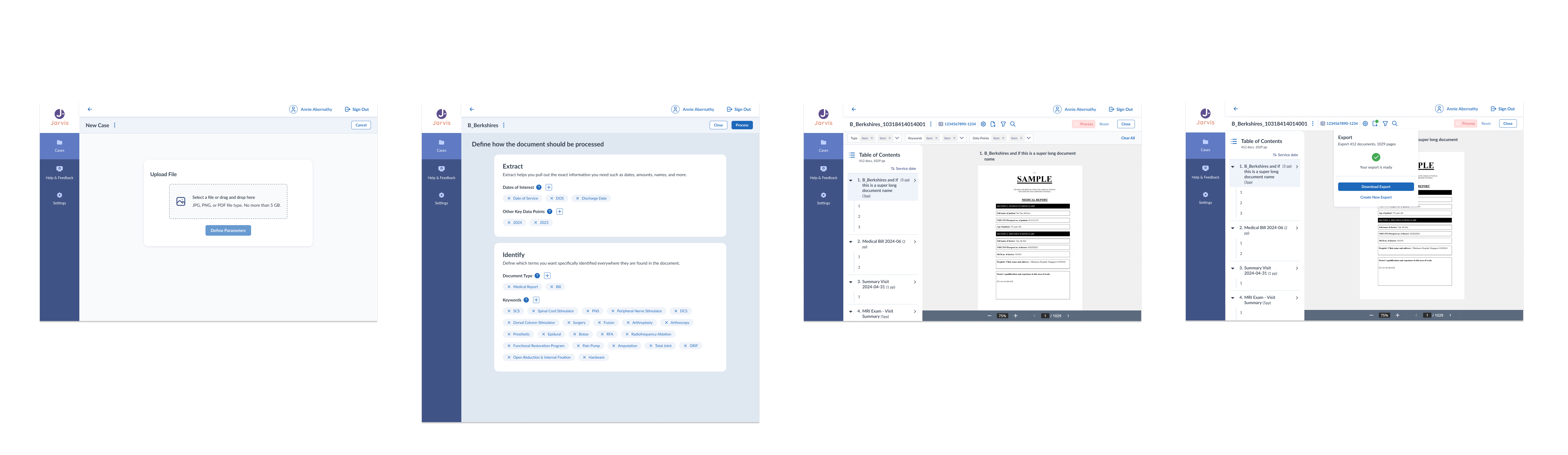Main steps of IDP workflow